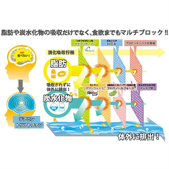 送料無料 TNK】ファインラボ ファイナルブロックプラス2 126粒