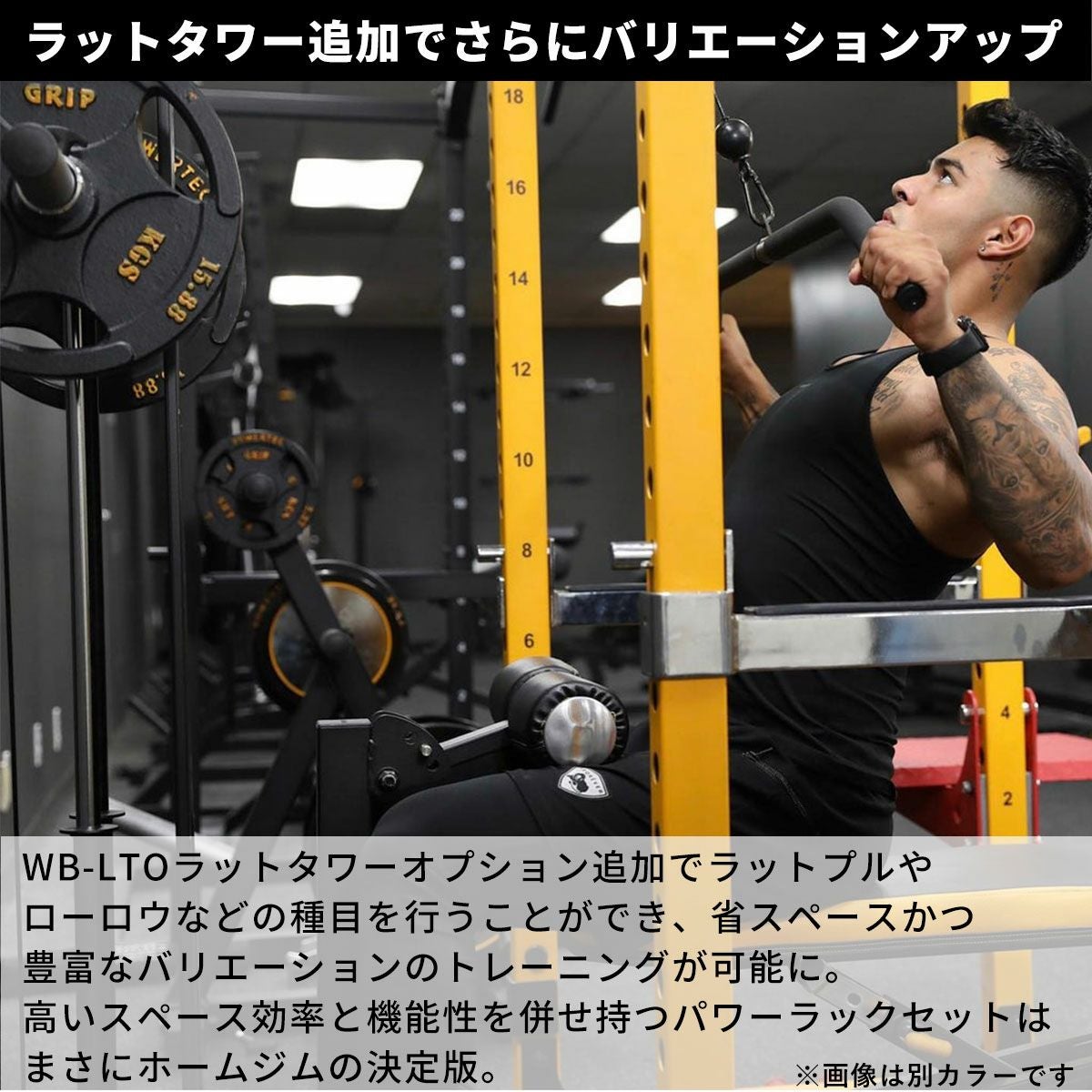 パワーテック トレーニングギア パワー ラック WB-PR19 POWERTEC