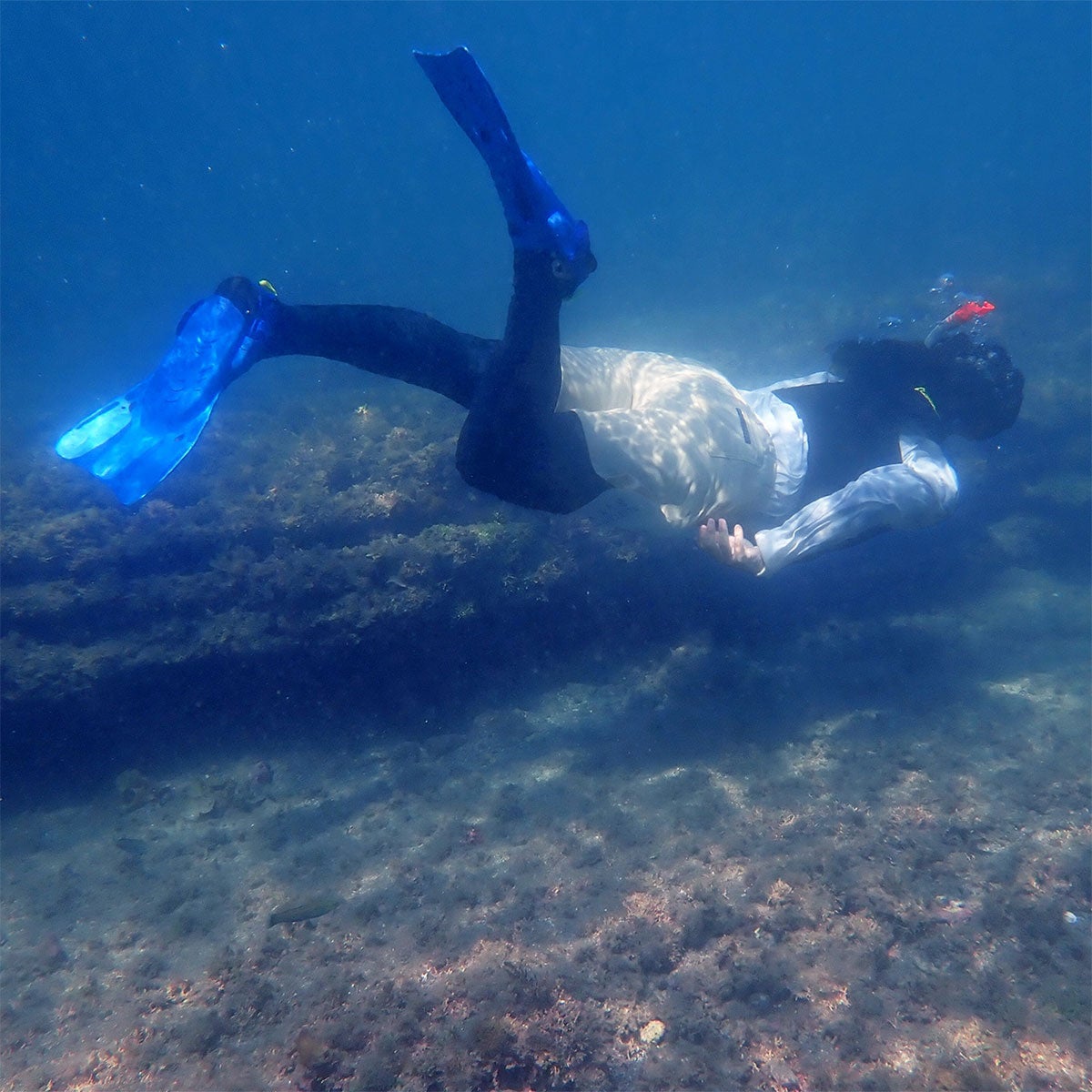 リーフツアラースノーケリングフィンメンズ/レディース軽量ストラップフィンRF0106REEFTOURER