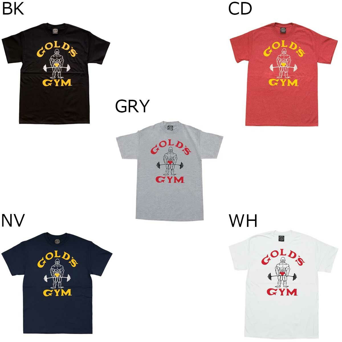 送料無料 TNK】ゴールドジム トレーニング ウェア メンズ ベーシック T