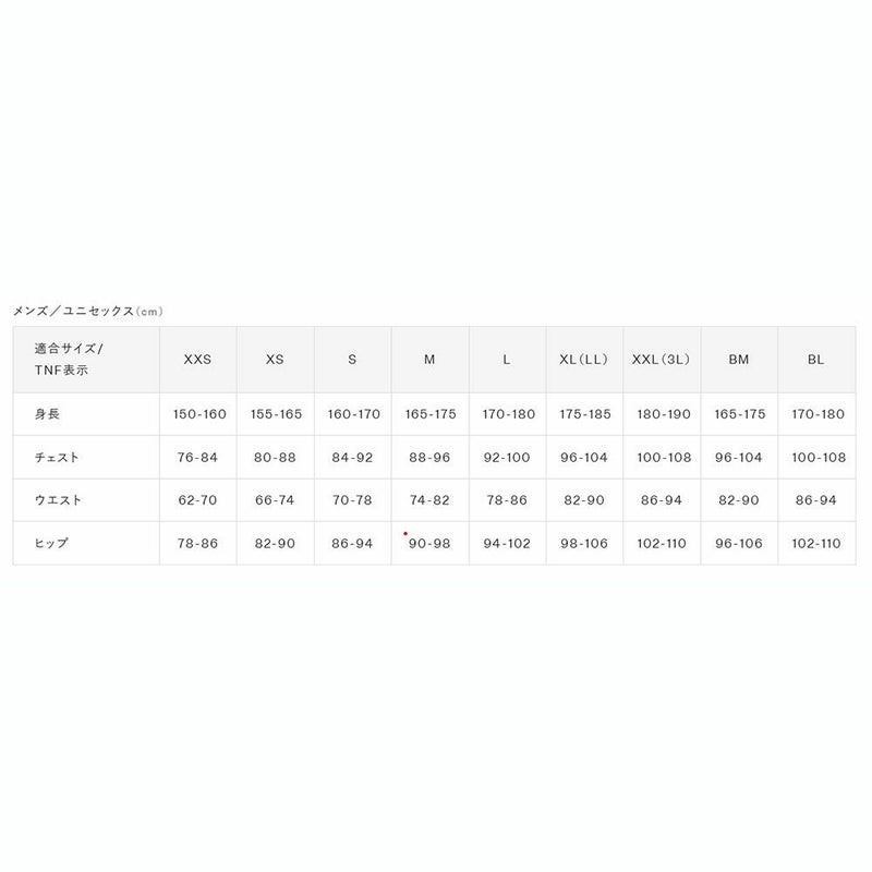 ザ・ノース・フェイスTHENORTHFACEアウトドアカジュアルウェア半袖TシャツショートスリーブヒストリカルロゴティーS/SHISTRICALLOGOTEENT32407-UNメンズ男性26SS春夏