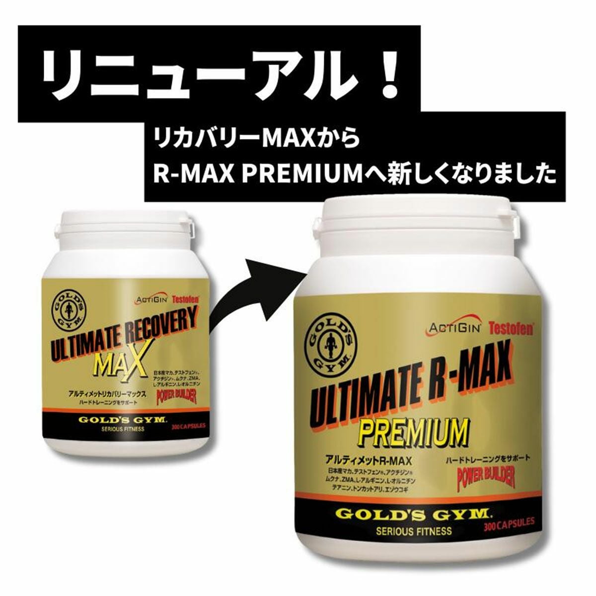 ゴールドジムGOLD'SGYMサプリメントアルティメットR-MAXプレミアムF2340