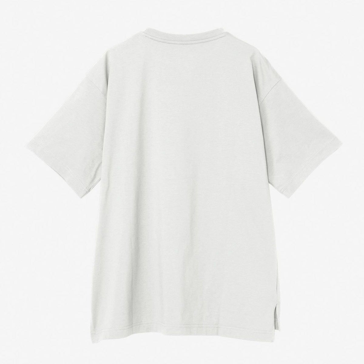 ザ・ノース・フェイスTHENORTHFACEアウトドアカジュアルウェア半袖TシャツショートスリーブフラッシュドライリラックスコットンティーS/SFDRELAXCOTTONTEENTW32541-Wレディース女性25SS春夏