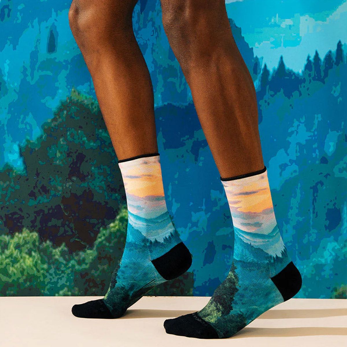 フィーチャーズFEETURESランニングソックス靴下ELITELIGHTCUSHIONMINICREWLimitedEdition4400040174251メンズレディースユニセックス25SU春夏