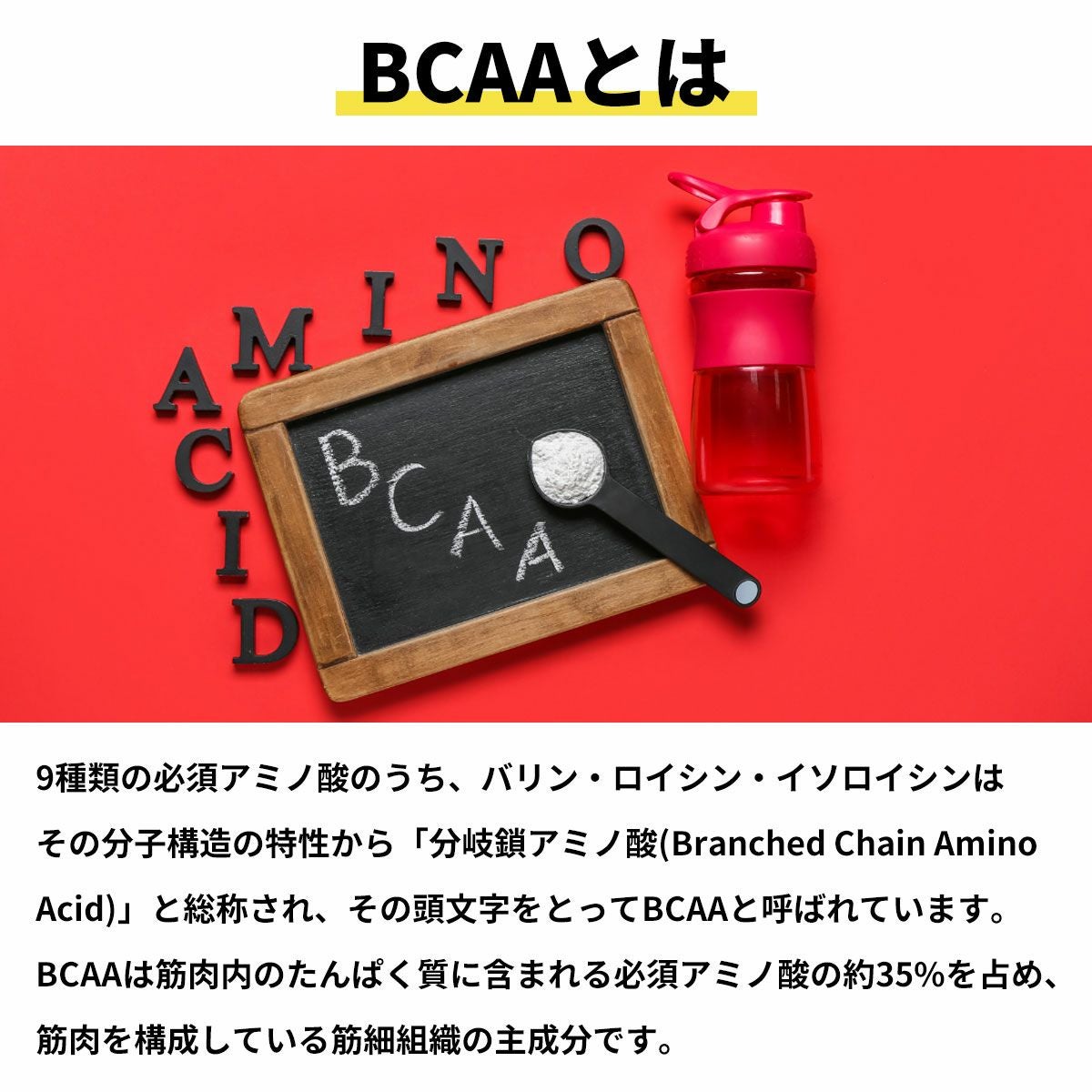 ゴールドジム GOLD'S GYM GGP BCAA アルギニンパウダー スポーツ
