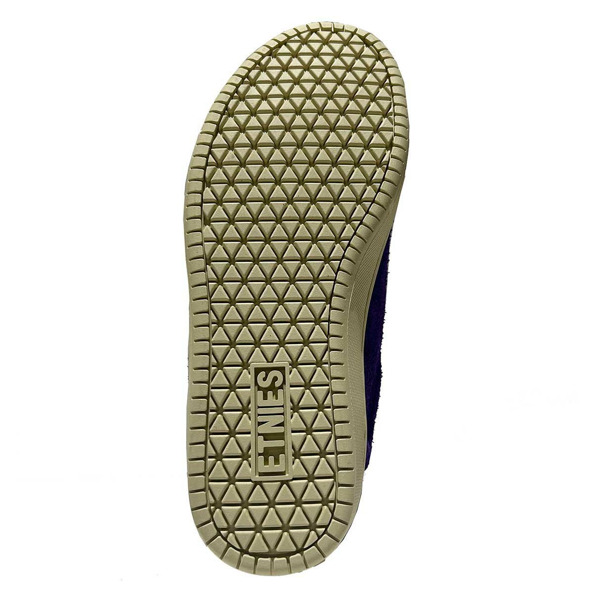 エトニーズETNIESスケボースケートボードスケシュースニーカーシューズ靴サル23SAL234102000155-500メンズ男性25FA秋冬