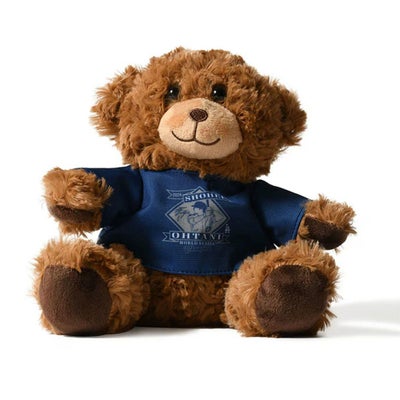 フォコFOCOベースボール野球ソフトボールアクセサリーSHOHEIOHTANILADODGERS2024WORLDSERIESCHMP7.5INCHSEATEDSHIRTBEARSOTN-05メンズレディースユニセックス25SU春夏