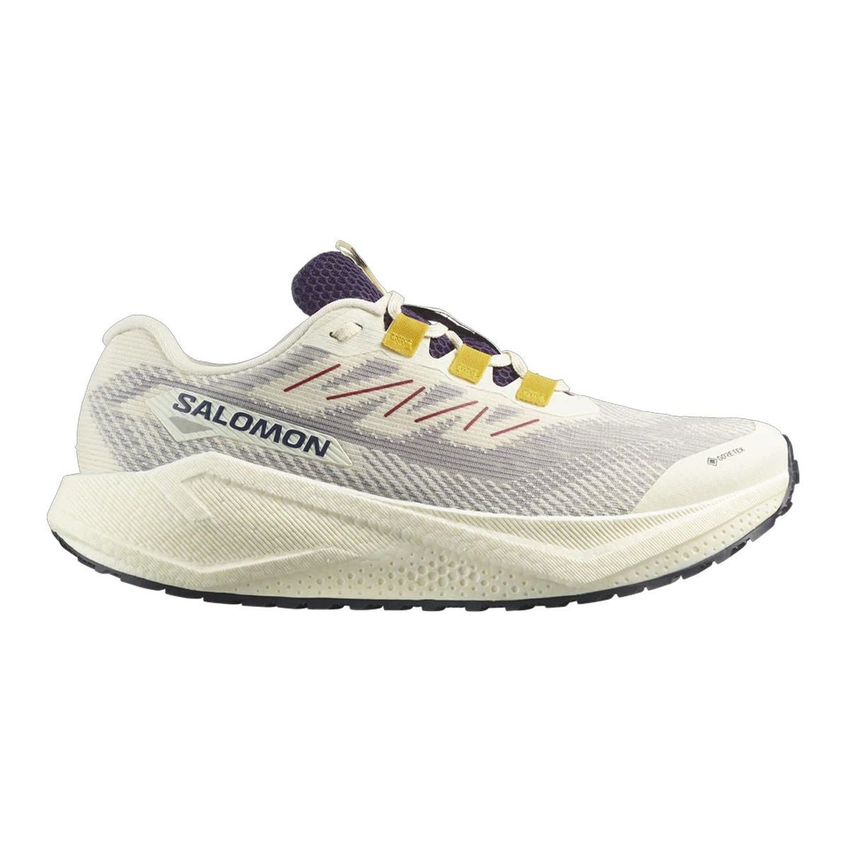 サロモンSALOMONランニングランシューシューズ靴AEROBLAZE3GRVLGORE-TEXL47953200メンズ男性25FA秋冬