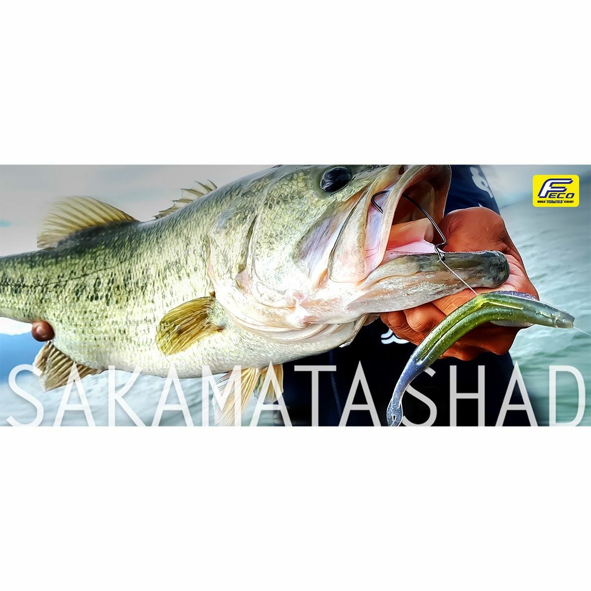 デプス DEPS サカマタシャッド 4.5 インチ #12グリーンパンプキン