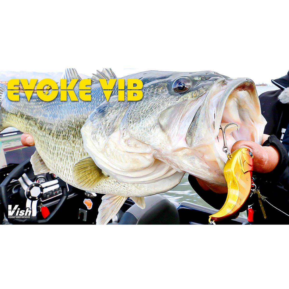 デプスDEPSフィッシング釣りルアーイヴォークバイブ#01ゴールデンシャイナーEVOKEVIB4544565238011