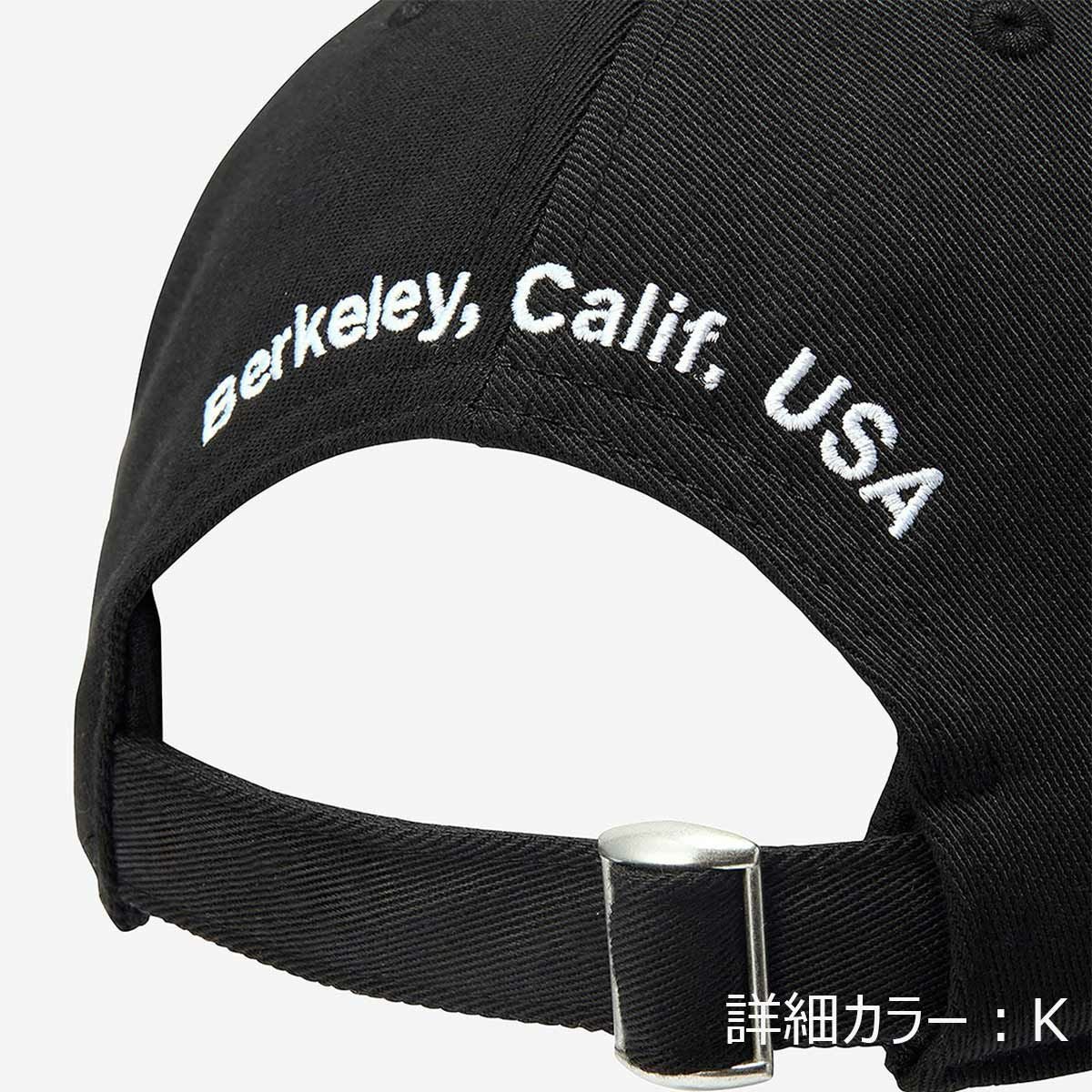 ザ・ノース・フェイス THE NORTH FACE ロゴキャップ LOGO CAP 帽子