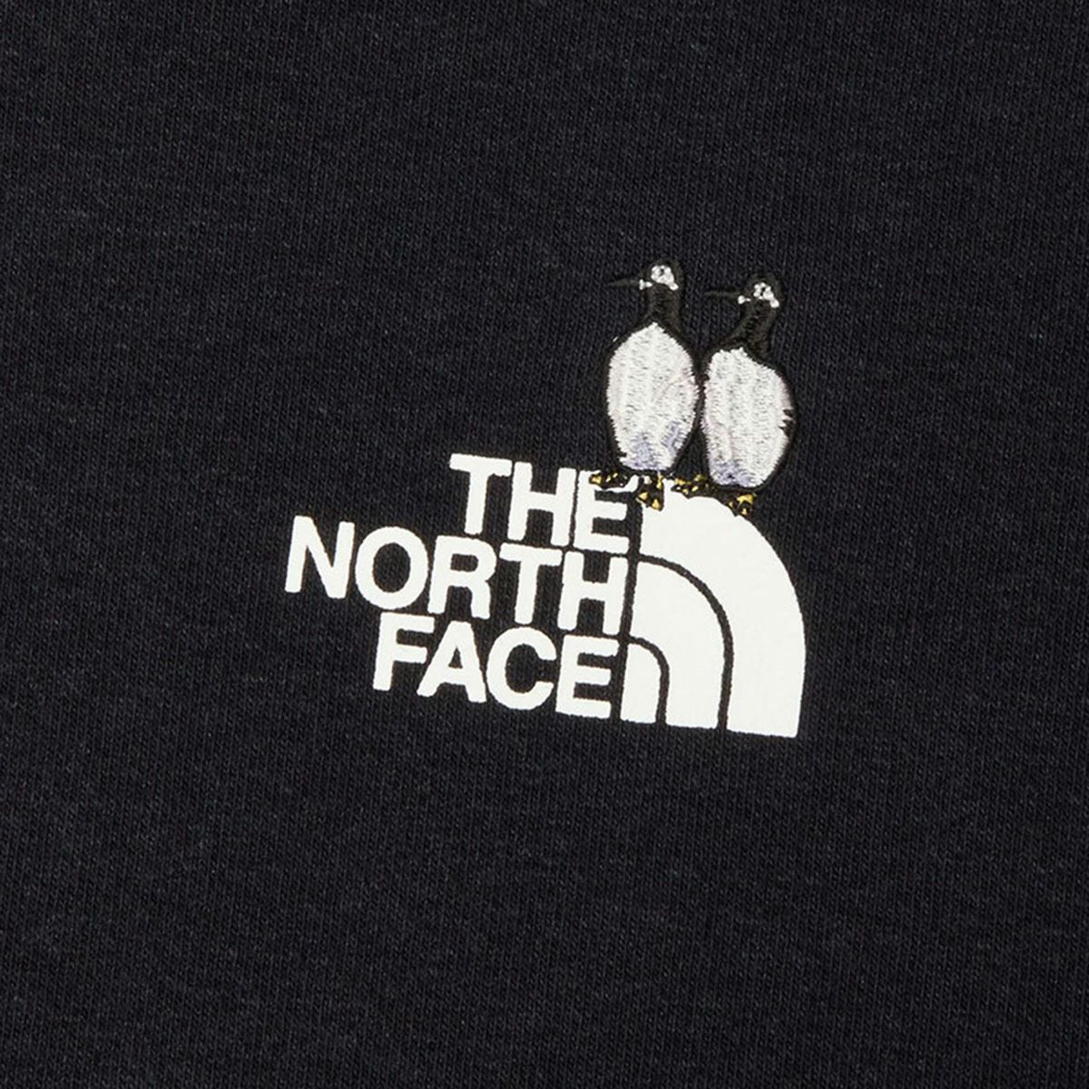 ザ・ノース・フェイスTHENORTHFACEアウトドアカジュアルウェアスウェットパーカーズーピッカーフーディNT12645-Kメンズレディースユニセックス