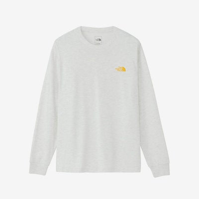 ザ・ノース・フェイスTHENORTHFACEアウトドアカジュアルウェア長袖TシャツロンTロングスリーブバックスクエアロゴティーNT32442-WSメンズ男性26SP春夏