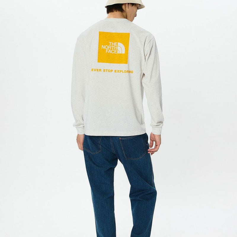 ザ・ノース・フェイスTHENORTHFACEアウトドアカジュアルウェア長袖TシャツロンTロングスリーブバックスクエアロゴティーNT32442-WSメンズ男性26SP春夏