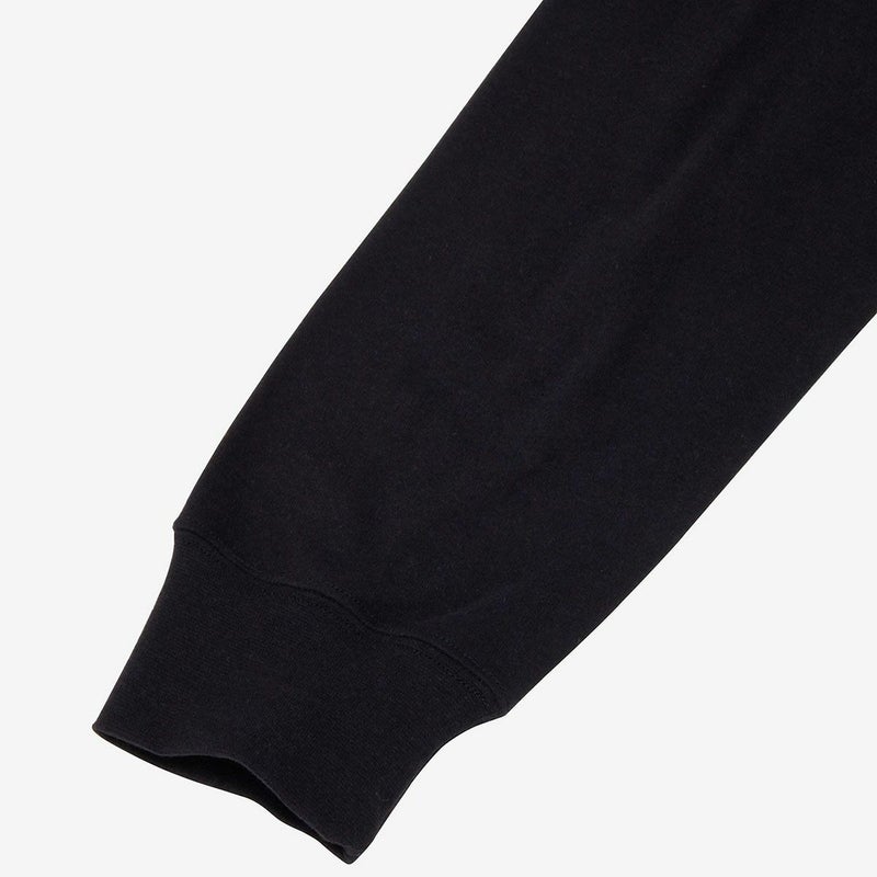 ザ・ノース・フェイスTHENORTHFACEアウトドアカジュアルウェア長袖TシャツロンTロングスリーブズーピッカーティーNT32658-SLメンズレディースユニセックス26SP春夏