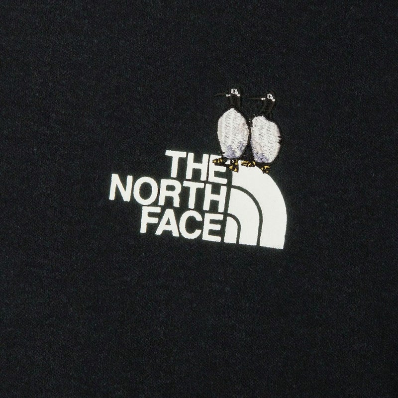 ザ・ノース・フェイスTHENORTHFACEアウトドアカジュアルウェア長袖TシャツロンTロングスリーブズーピッカーティーNT32658-SLメンズレディースユニセックス26SP春夏