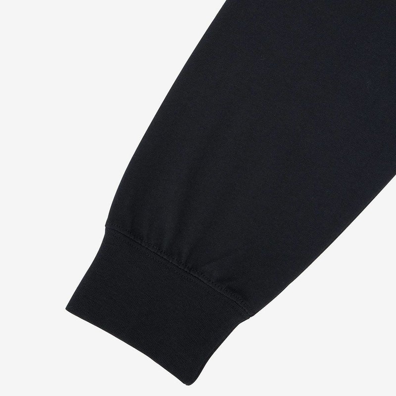 ザ・ノース・フェイスTHENORTHFACEアウトドアカジュアルウェア長袖TシャツロンTロングスリーブフラッシュドライヌプシコットンティーNT32535-STメンズ男性26SP春夏