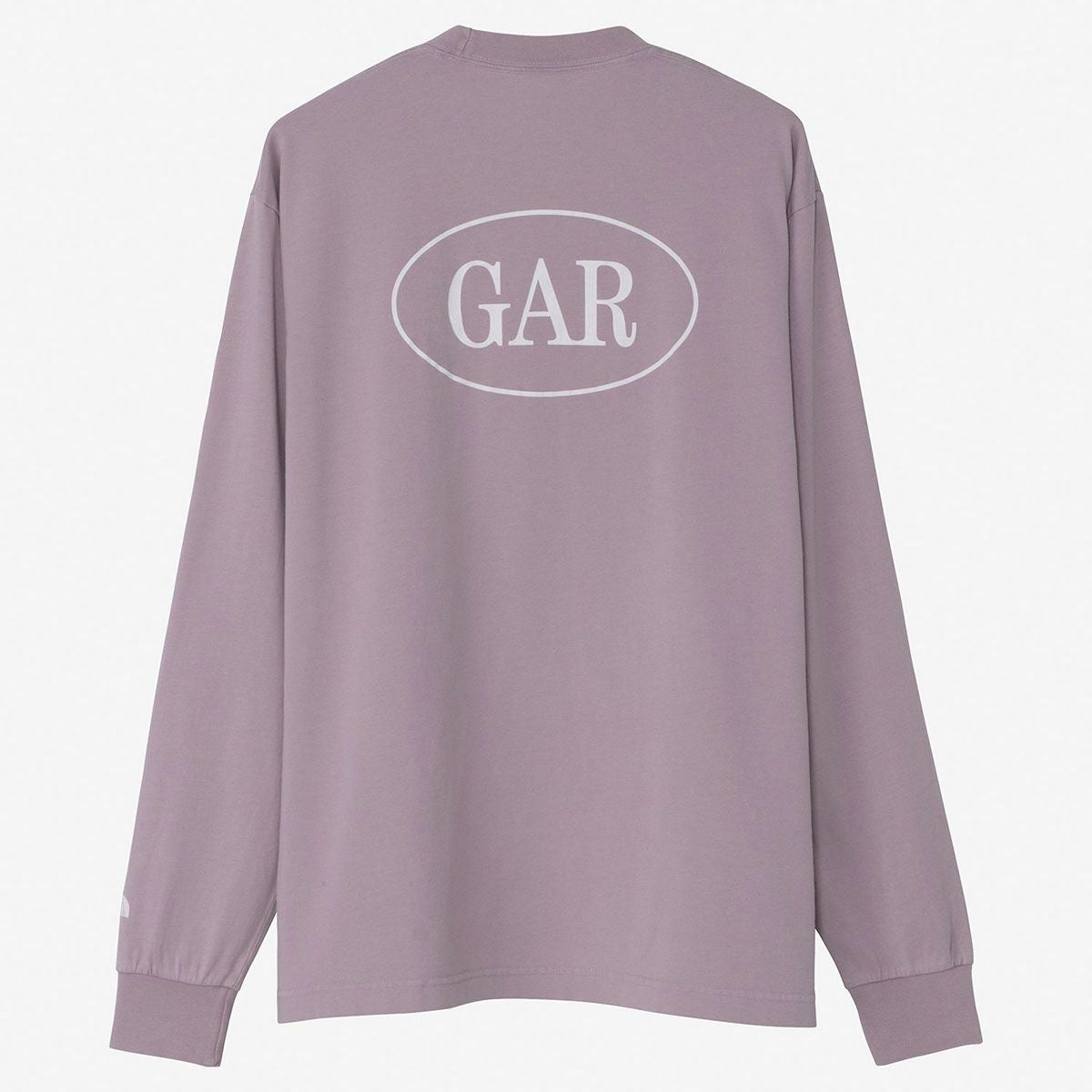 ザ・ノース・フェイスTHENORTHFACEアウトドアカジュアルウェア長袖TシャツロンTGARタイポグラフィックロングスリーブティーNT32665-SFメンズレディースユニセックス26SP春夏