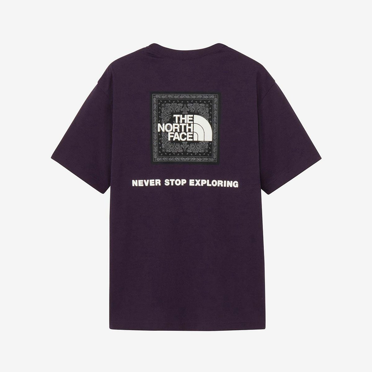 ザ・ノース・フェイスTHENORTHFACEアウトドアカジュアルウェア半袖TシャツショートスリーブバンダナスクエアロゴティーNT32446-EDメンズ男性26SP春夏