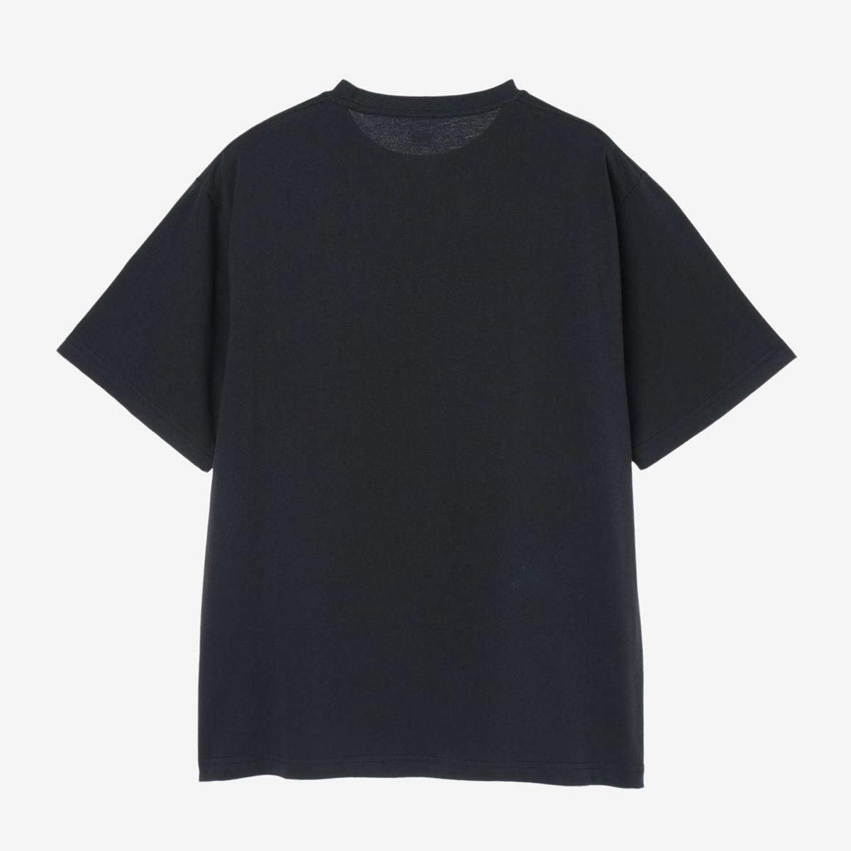 ヘリーハンセンHELLYHANSENアウトドアカジュアルウェア半袖TシャツショートスリーブランドスケープティーS/SLANDSCAPETEEHE62640-CWメンズレディースユニセックス26SS春夏