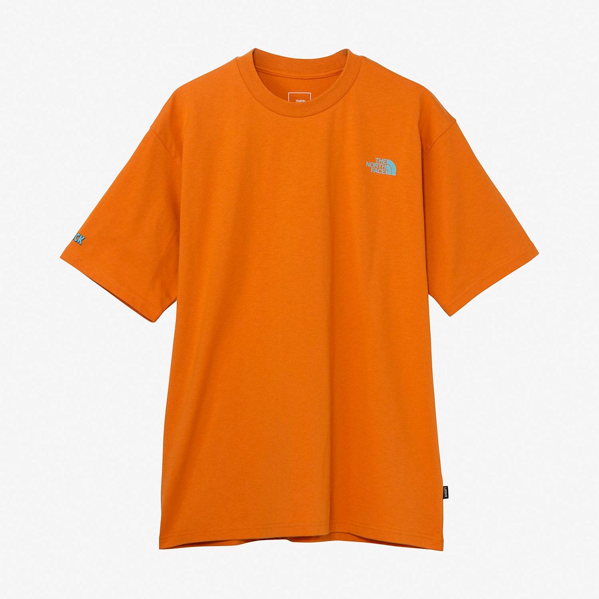 ザ・ノース・フェイスTHENORTHFACEサーフィンサーフアウトドアカジュアルウェア半袖TシャツショートスリーブレイバックトライバルティーNT12610-DOメンズレディースユニセックス26SP春夏