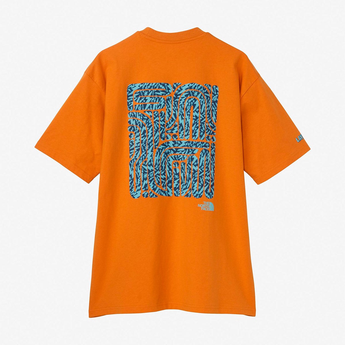 ザ・ノース・フェイスTHENORTHFACEサーフィンサーフアウトドアカジュアルウェア半袖TシャツショートスリーブレイバックトライバルティーNT12610-DOメンズレディースユニセックス26SP春夏