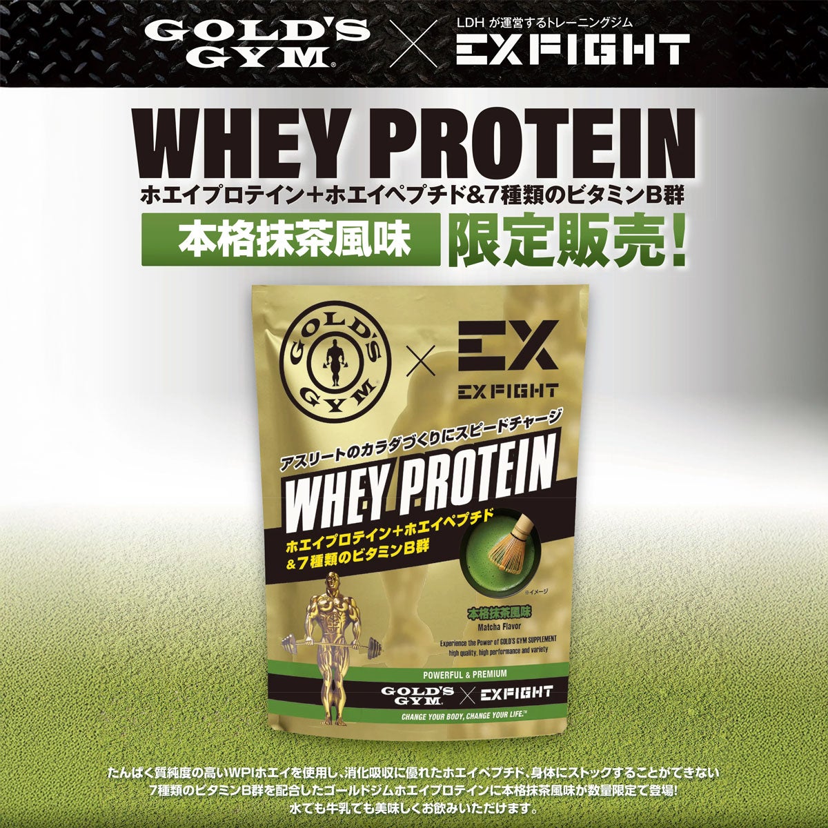 ゴールドジムGOLD'SGYMサプリメントダイエット健康プロテインGOLD'SGYM×EXFIGHTWPIホエイプロテイン本格抹茶風味720gF6972