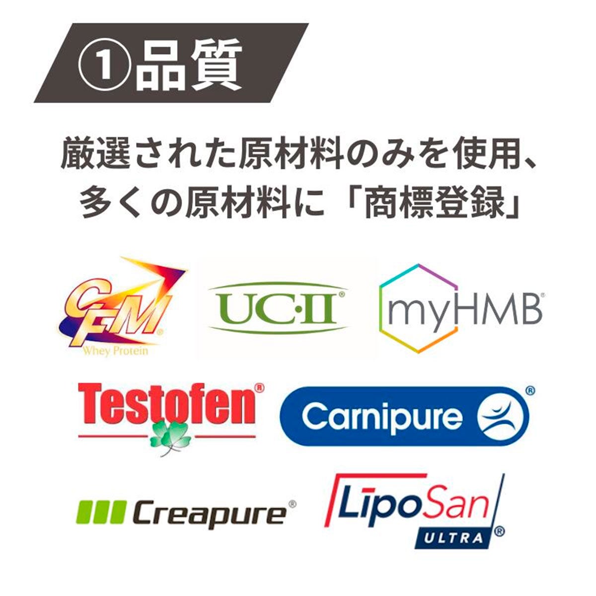 送料無料 TNK】ゴールドジム GOLD'S GYM × EX FIGHT WPI ホエイ