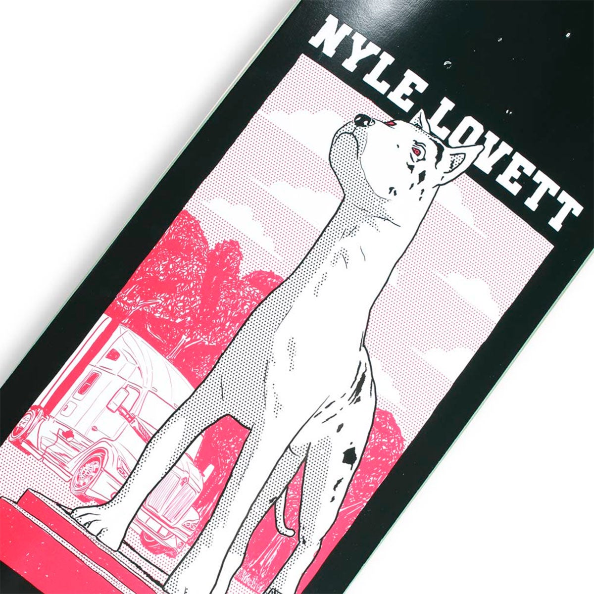 セオリーズTHEORIESスケボースケートボードデッキ板ナイルラベットチャンプNYLELOVETTCHAMP8.036391SE80207