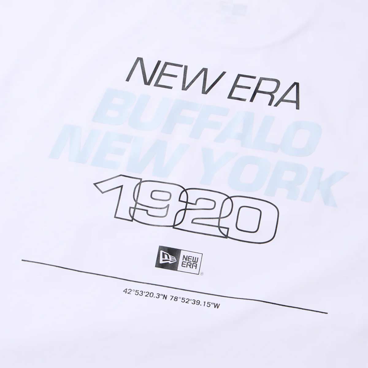 ニューエラNEWERAサーフィンサーフウェア半袖TシャツユーティリティーオーバーサイズドTシャツBuffalo.NENY1920ホワイトアウトドア14774256メンズレディースユニセックス26SP春夏