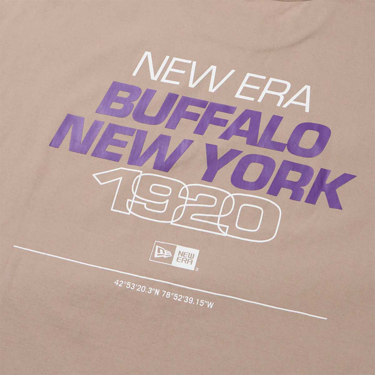 ニューエラNEWERAサーフィンサーフウェア半袖TシャツユーティリティーオーバーサイズドTシャツBuffalo.NENY1920アッシュブラウンアウトドア14774258メンズレディースユニセックス26SP春夏