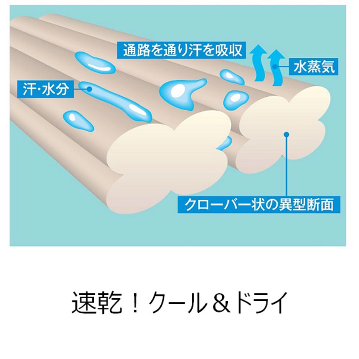 ゴールドジムGGPEXゴールズドライTスタックラインG2262スポーツウェアメンズ