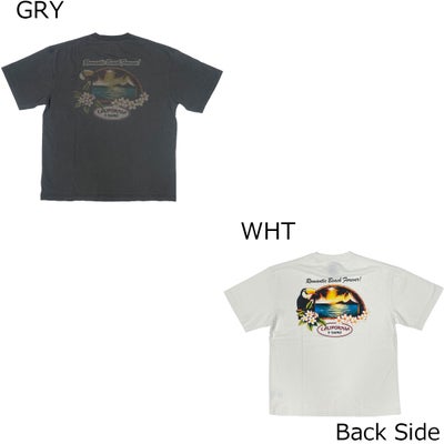 ベネフィットBENEFITサーフィンサーフウェア半袖TシャツCALISURFbyCALIFORNIAT-SHIRTS16/-空紡糸天竺プリントS/SBIGTEE263CF4ST935メンズレディースユニセックス26SP春夏