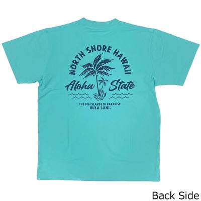 ベネフィットBENEFITサーフィンサーフウェア半袖TシャツHulaLaniHAWAIIDRY天竺プリントS/STEE263HU1ST917メンズ男性26SP春夏