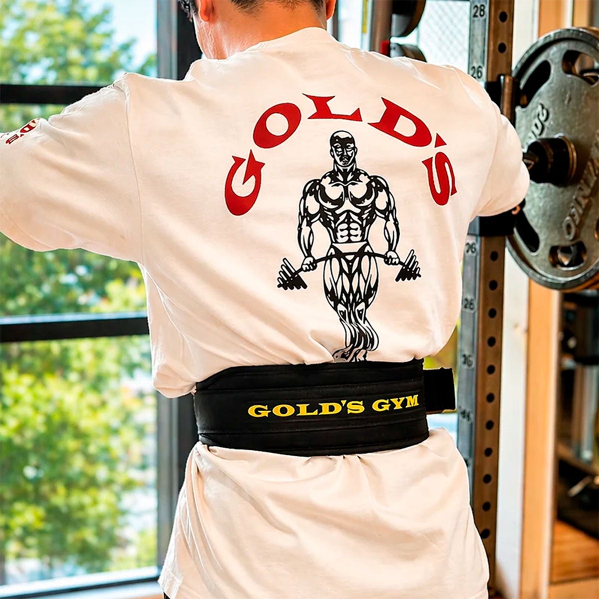 ゴールドジムGOLD'SGYMジムフィットネストレーニングベルトG3336