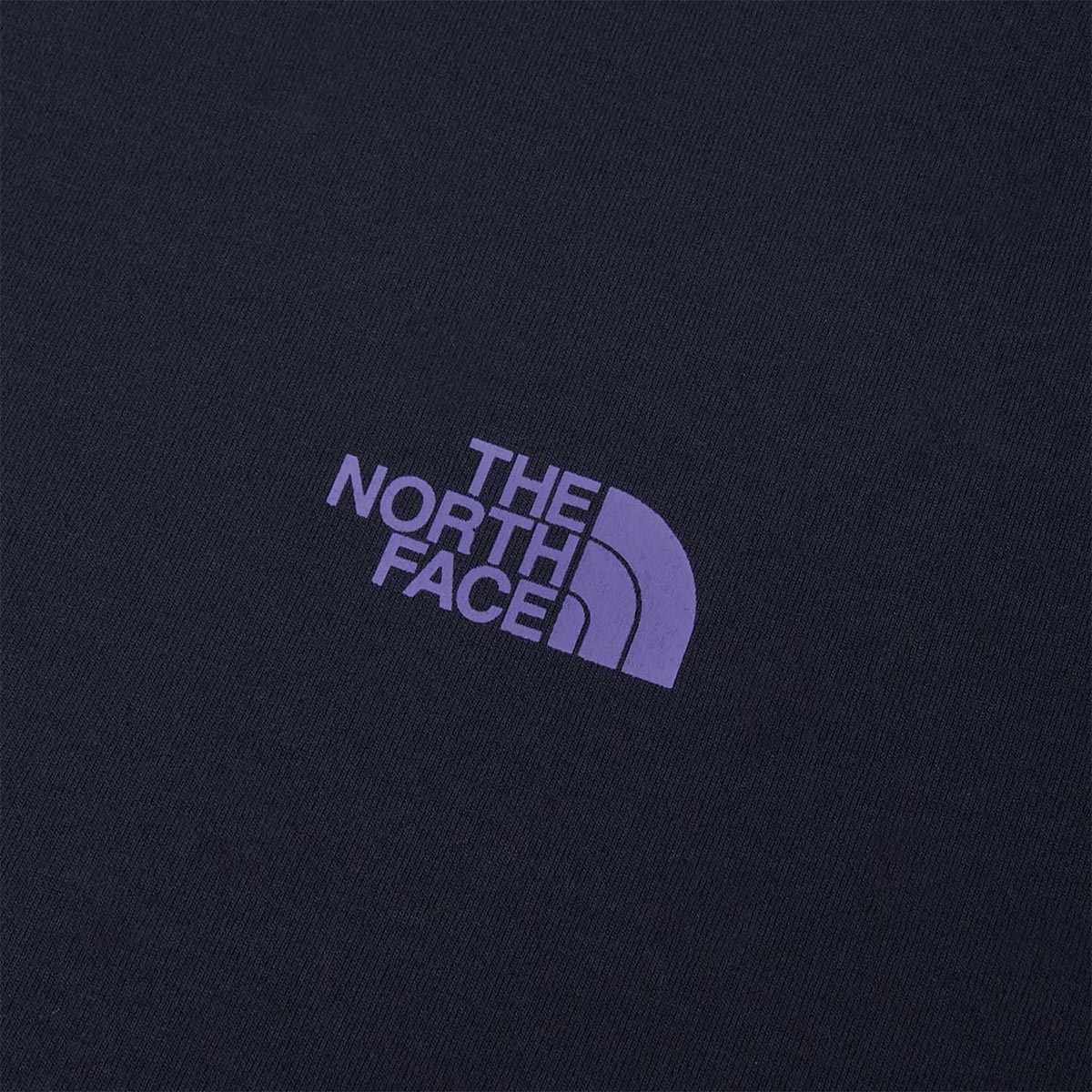 ザ・ノース・フェイスTHENORTHFACEアウトドアカジュアルショートスリーブES66グラフィックティーウェア半袖TシャツNTW82672-Kレディース女性26FW秋冬