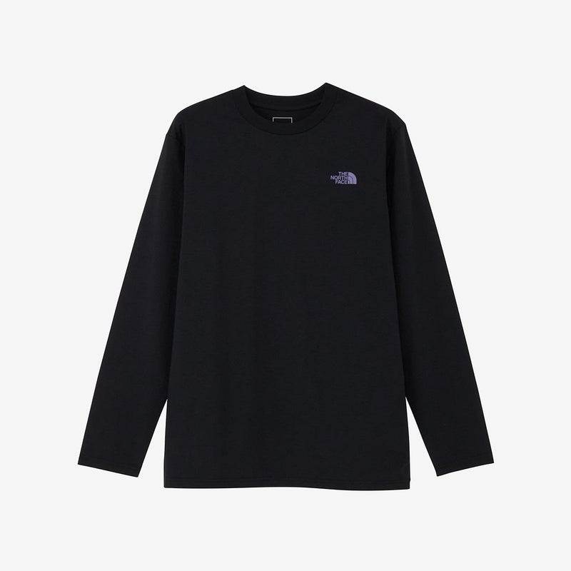 ザ・ノース・フェイスTHENORTHFACEアウトドアカジュアルウェア長袖TシャツロンTロングスリーブES66グラフィックティーNT82673-Kメンズ男性26FW秋冬