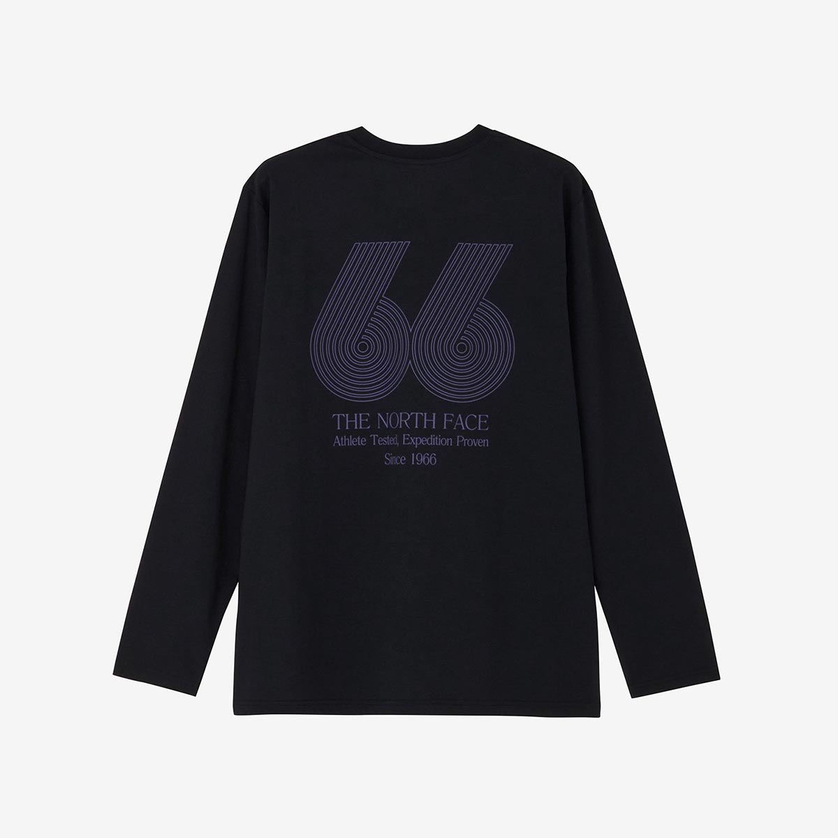 ザ・ノース・フェイスTHENORTHFACEアウトドアカジュアルウェア長袖TシャツロンTロングスリーブES66グラフィックティーNT82673-Kメンズ男性26FW秋冬