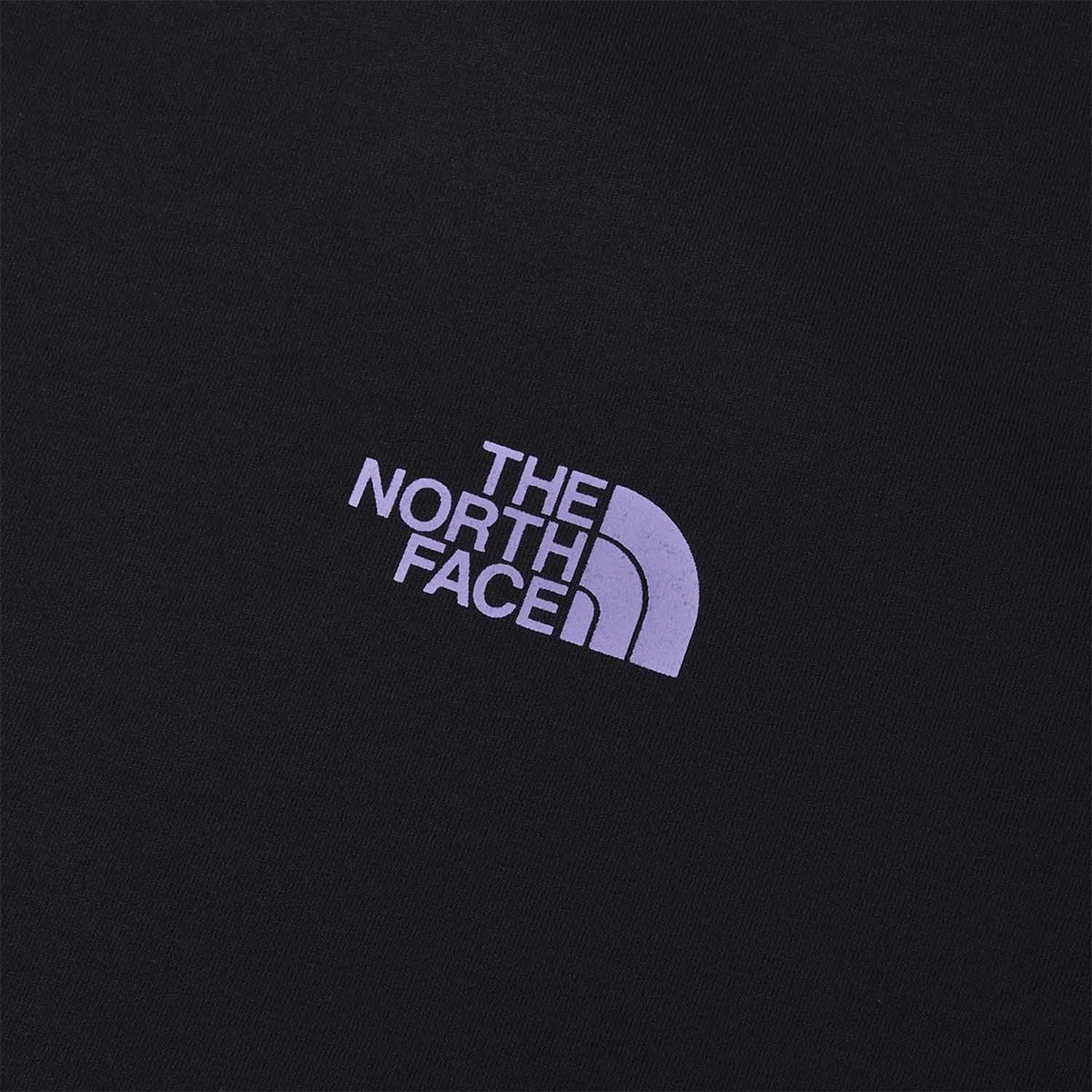 ザ・ノース・フェイスTHENORTHFACEアウトドアカジュアルウェア長袖TシャツロンTロングスリーブES66グラフィックティーNT82673-Kメンズ男性26FW秋冬