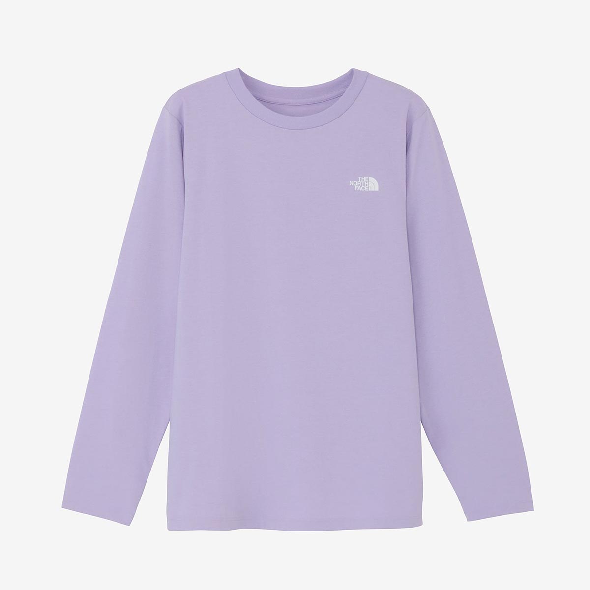 ザ・ノース・フェイスTHENORTHFACEアウトドアカジュアルウェア長袖TシャツロンTロングスリーブES66グラフィックティーNTW82673-LAレディース女性26FW秋冬