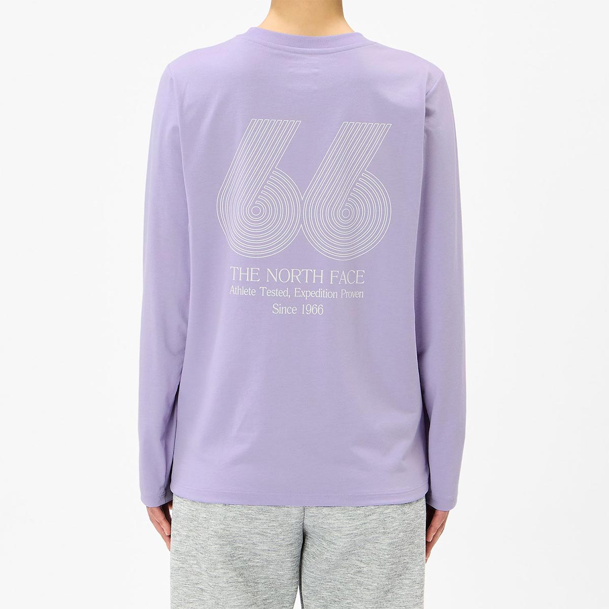 ザ・ノース・フェイスTHENORTHFACEアウトドアカジュアルウェア長袖TシャツロンTロングスリーブES66グラフィックティーNTW82673-LAレディース女性26FW秋冬