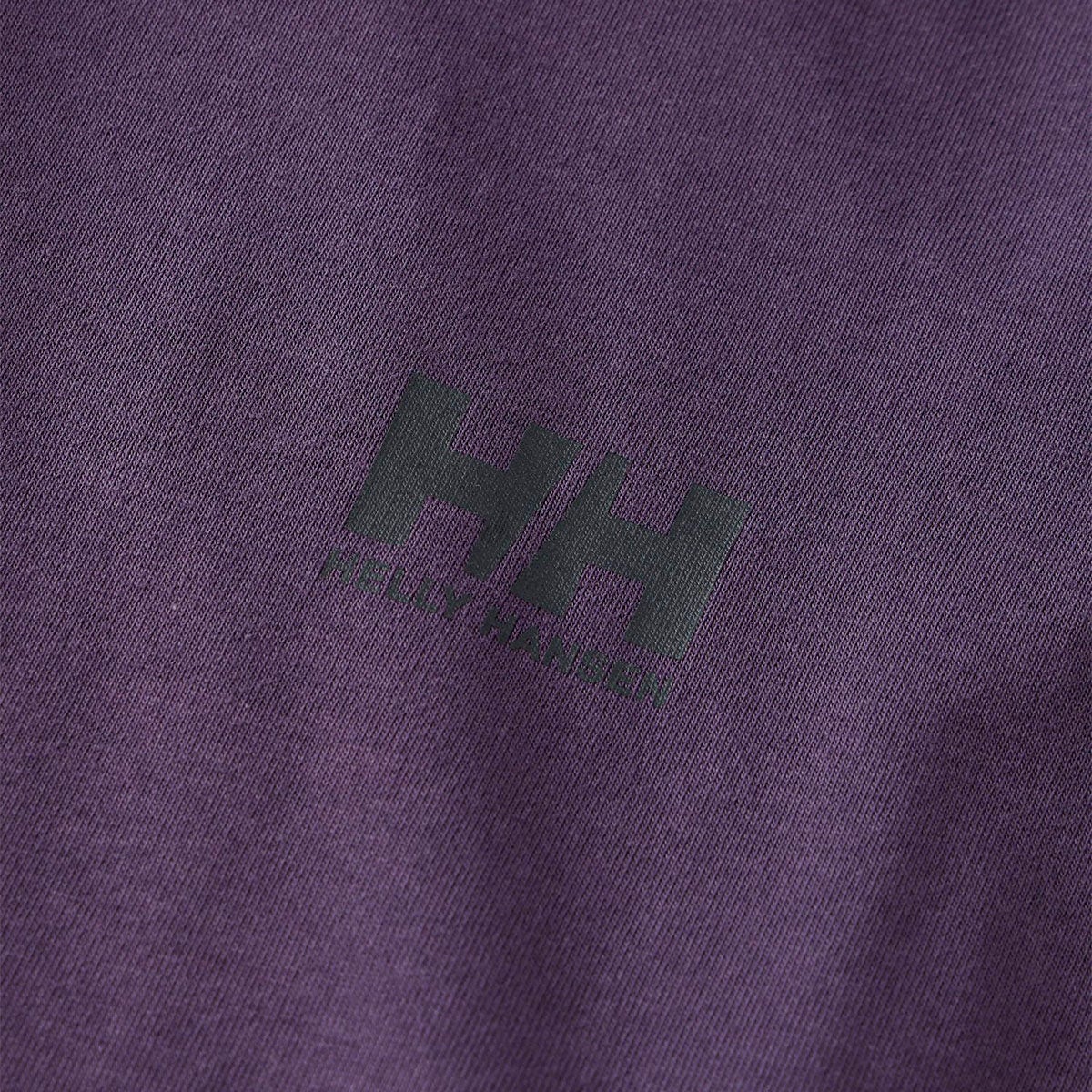 ヘリーハンセンHELLYHANSENアウトドアカジュアルウェア長袖TシャツロンTロングスリーブバーチカルビッグロゴティーHME32660-NTメンズ男性26FW秋冬