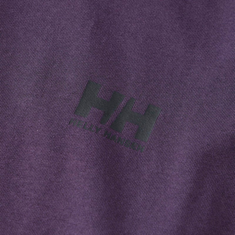 ヘリーハンセンHELLYHANSENアウトドアカジュアルウェア長袖TシャツロンTロングスリーブバーチカルビッグロゴティーHME32660-NTメンズ男性26FW秋冬