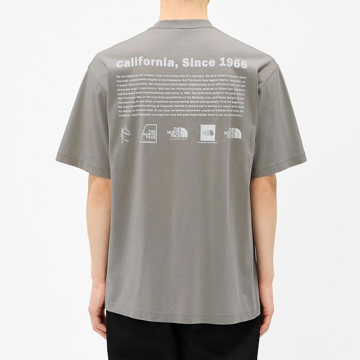 ザ・ノース・フェイスTHENORTHFACEアウトドアカジュアルウェア半袖TシャツショートスリーブウォッシュドヒストリカルロゴティーNT82642-STメンズレディースユニセックス26FW秋冬