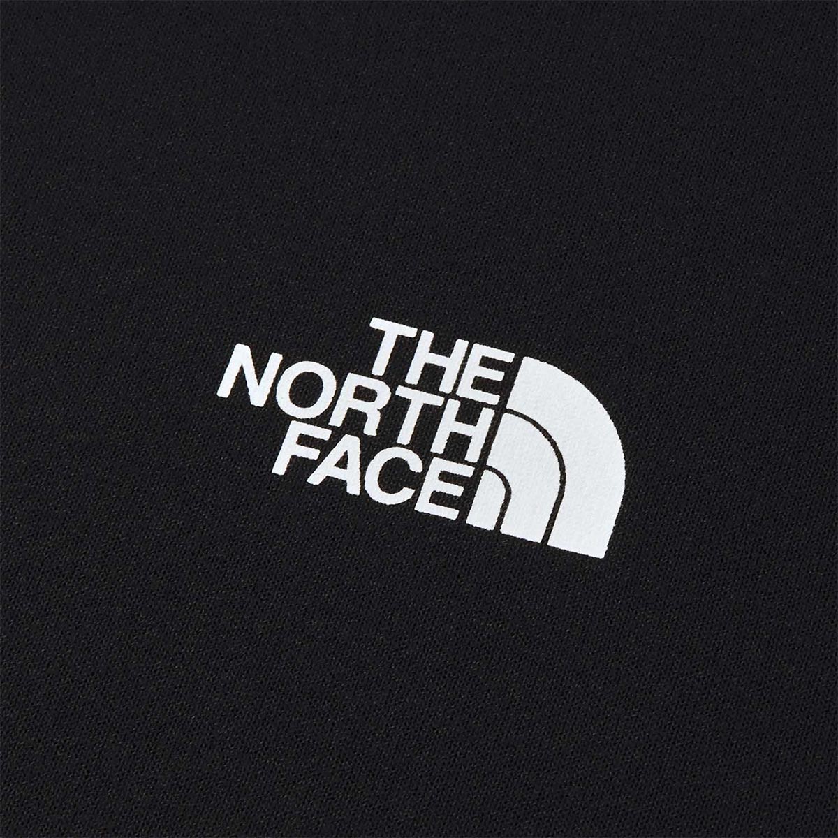 ザ・ノース・フェイスTHENORTHFACEアウトドアカジュアルウェア長袖TシャツロンTロングスリーブスノーレッククルーNT82690-Kメンズレディースユニセックス26FW秋冬