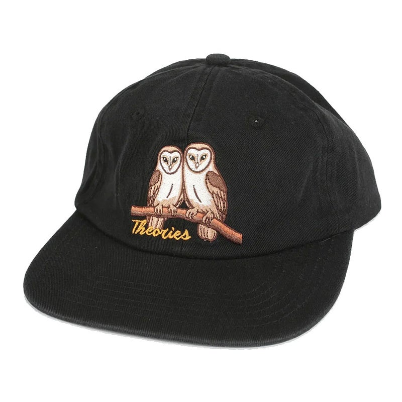 セオリーズTHEORIESスケボースケートボード帽子キャップNOTWHATTHEYSEEMStrapbackHat36391SE8021826SP春夏
