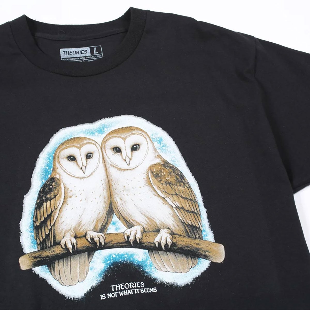 セオリーズTHEORIESスケボースケートボードウェア半袖TシャツNOTWHATTHEYSEEMTEE36391SE8022126SP春夏