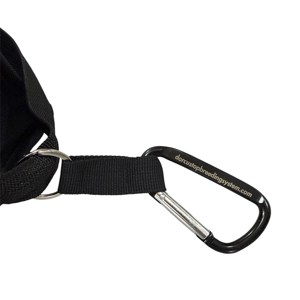 ドーカスDORCUSスケボースケートボードMULTICOOLERBAG17341T84009426FA秋冬