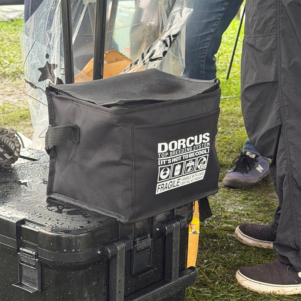 ドーカスDORCUSスケボースケートボードMULTICOOLERBAG17341T84009426FA秋冬