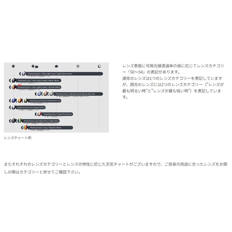 ダイスDICEスノボースノボスノーボードゴーグルGOODMANGM5427526-27